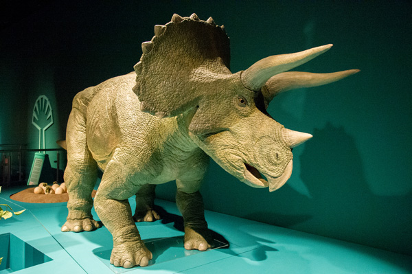 Farting Triceratops