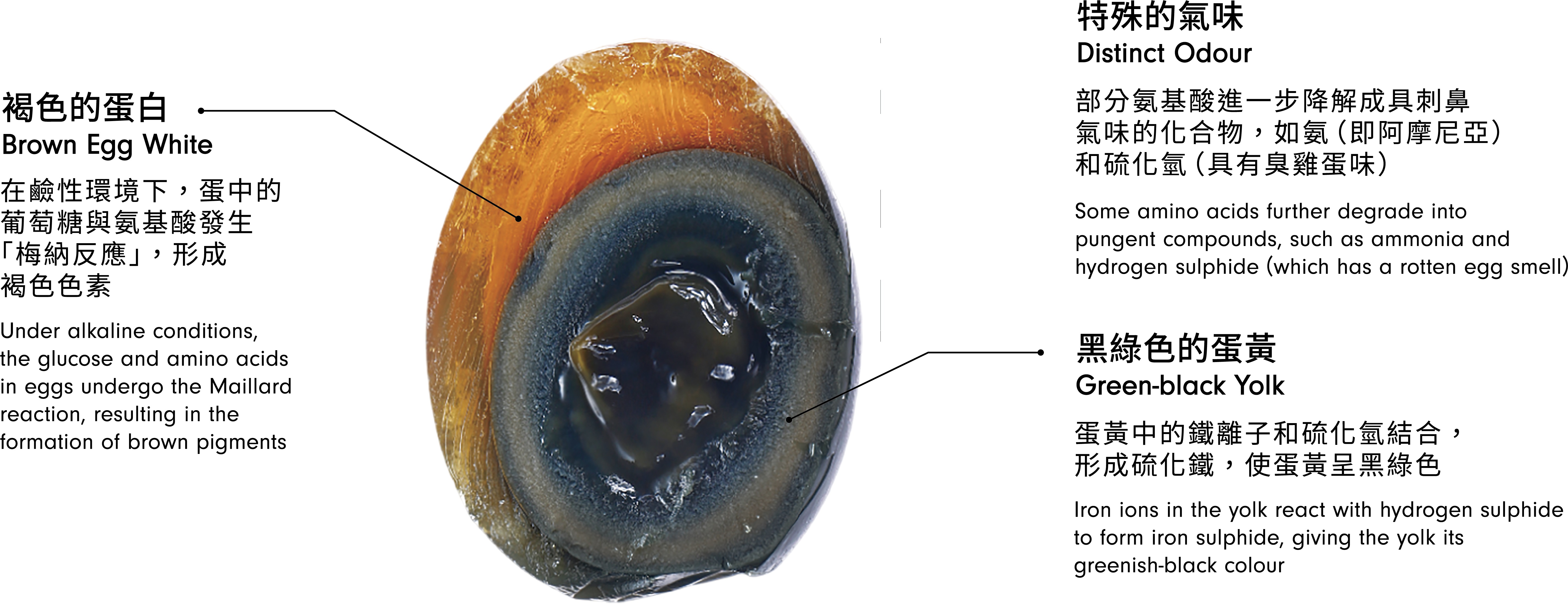 皮蛋的外表與味道