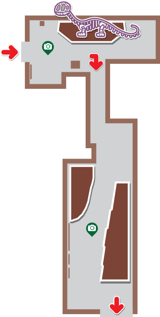 Fossil Excavation Site - Floor Plan