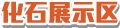 化石展示区